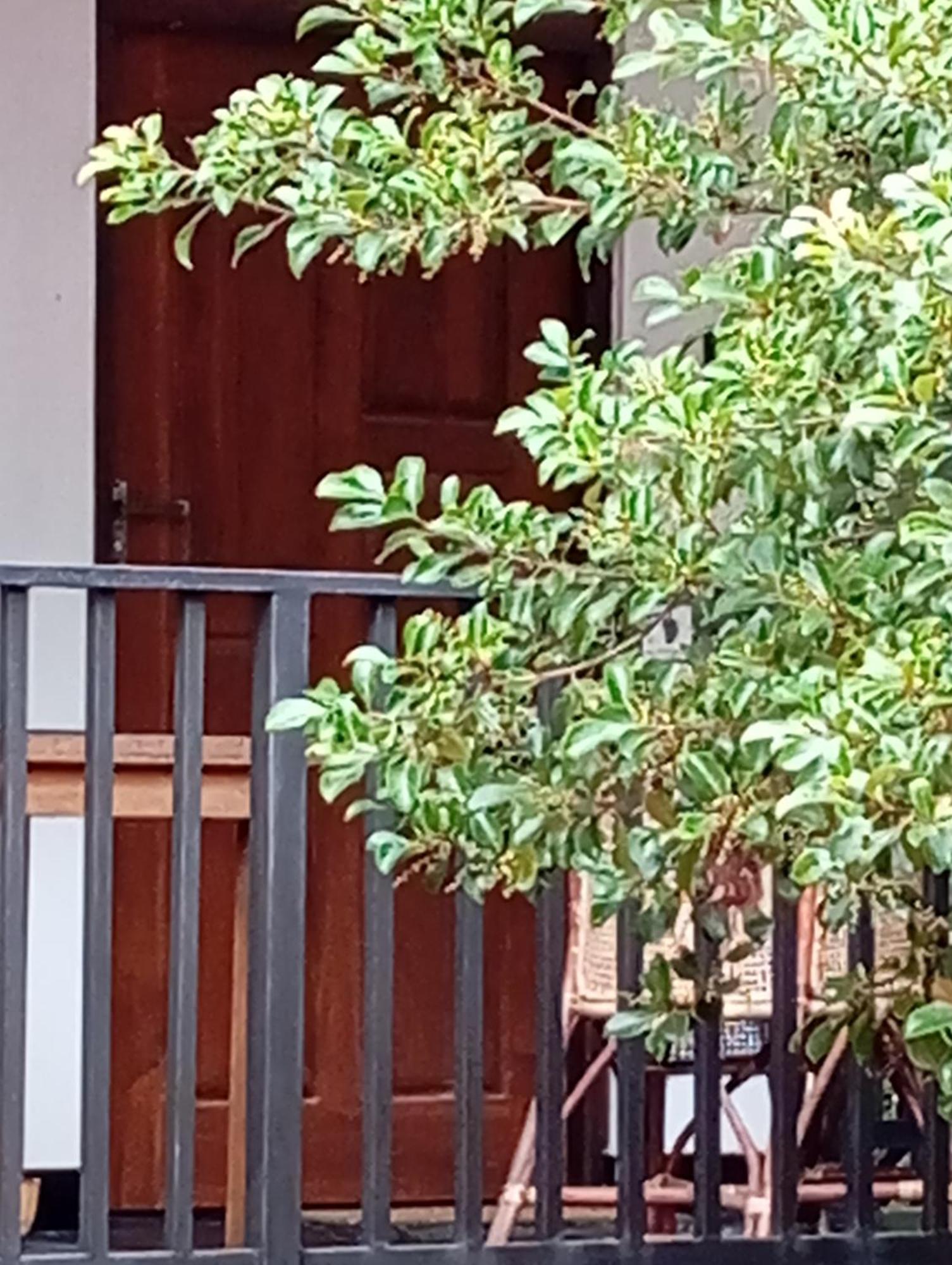 Ceylonima Home Stay Anuradhapura Quarto foto